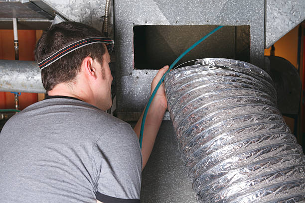 Best Ductwork Cleaning Services  in Lake Panasoffkee, FL